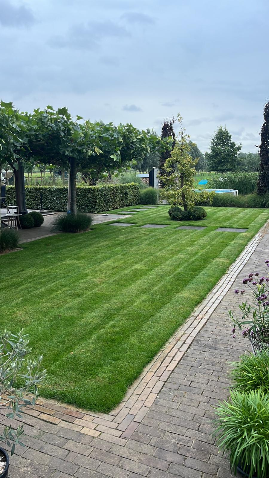 Tuinonderhoud detail 4