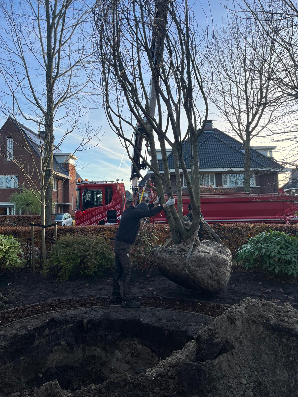 Overige diensten detail 3